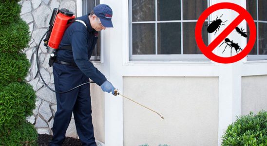 Çankaya Gümüşkurt İlaçlama böcek ilaçlama ve haşere kontrolü — ilaclama-tr.com